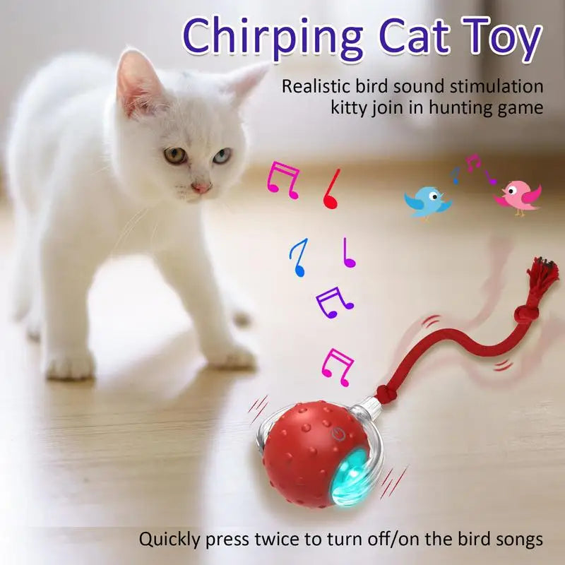 Balle de jouet interactive pour chat chien recharge USB - HautePattes