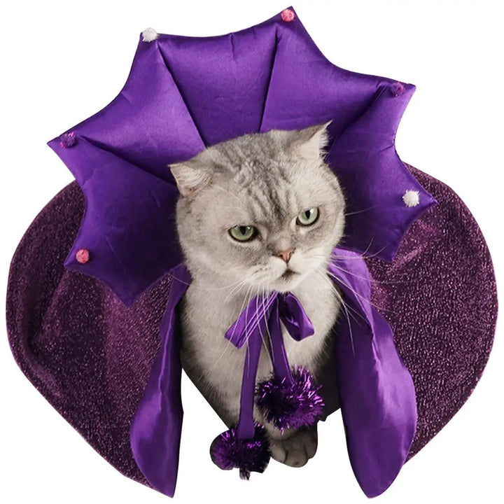 Costume sorcier chien & chat : léger, brillant et irrésistible