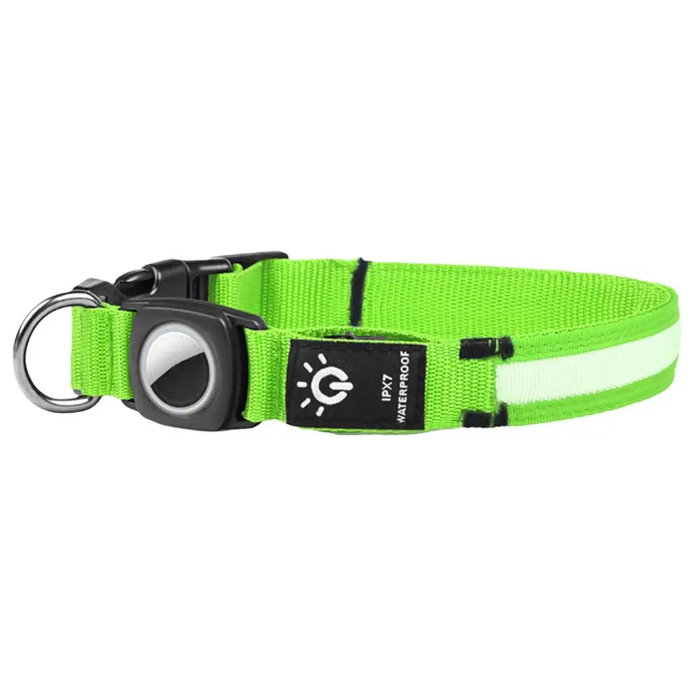 Collier lumineux chien AirTag : visible, localisable, rassurant de jour comme de nuit