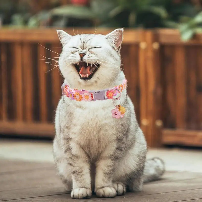 Collier chaton floral : tendresse, style & complicité