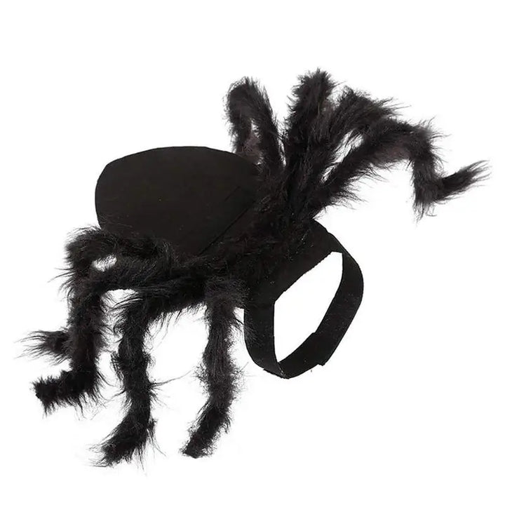 Costume Halloween araignée – Pour chat, chiot ou petit chien