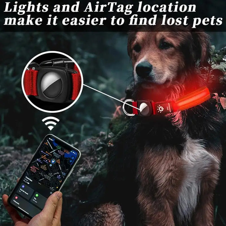 Collier lumineux chien AirTag : visible, localisable, rassurant de jour comme de nuit