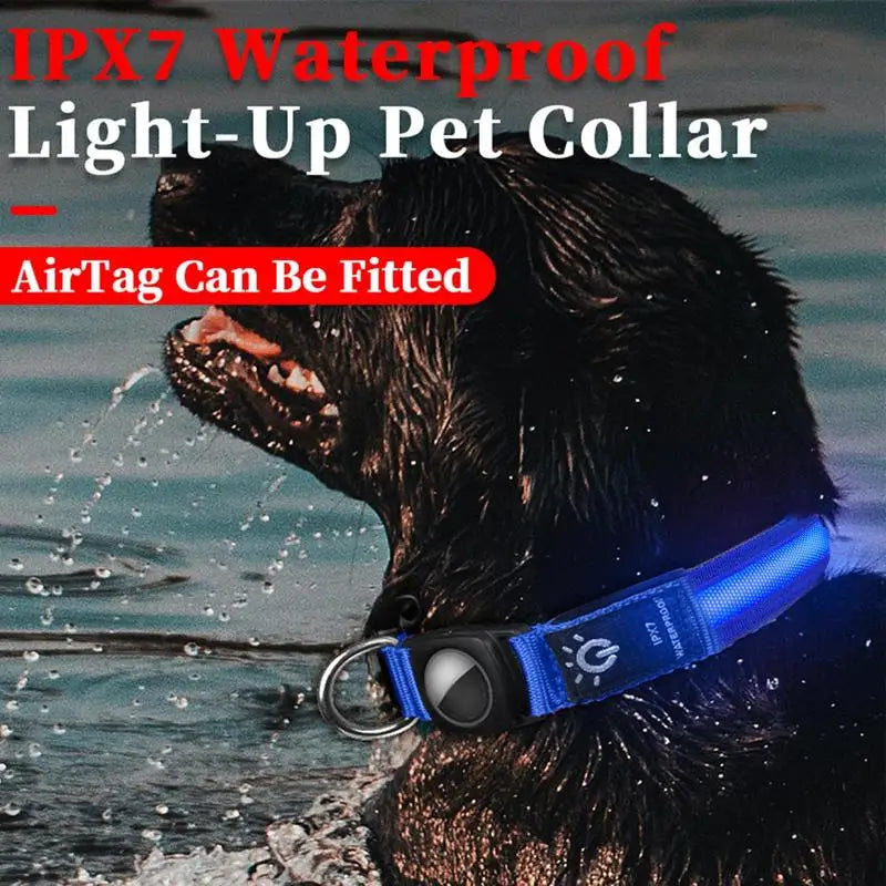 Collier lumineux chien AirTag : visible, localisable, rassurant de jour comme de nuit